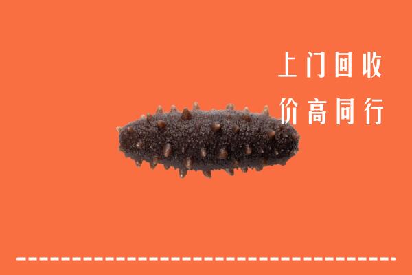 高价求购：木里县回收海参