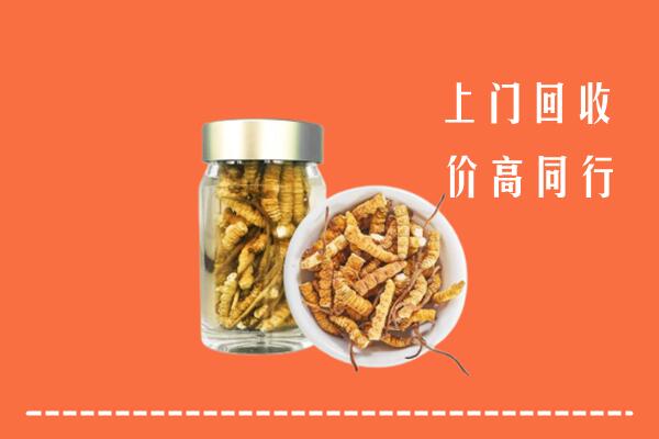 收购行情：木里县回收冬虫夏草